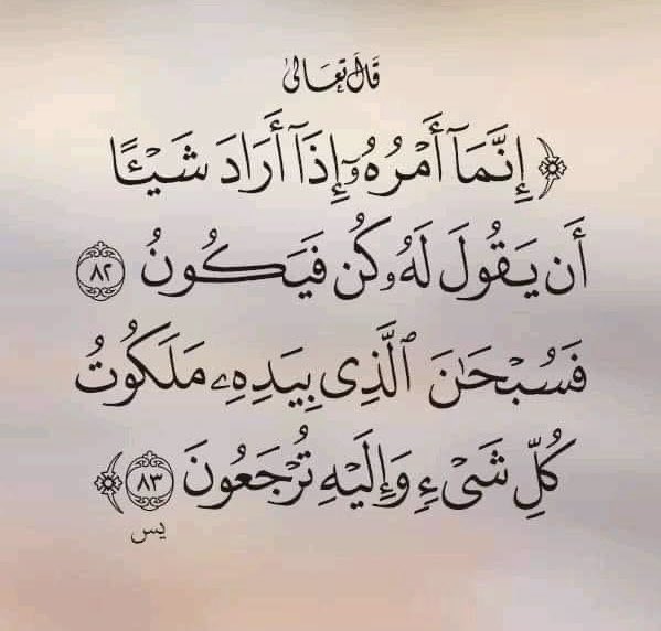 falsaleh_'s tweet photo. 🙏🏻🤍 https://t.co/m7gDdOBnOx
