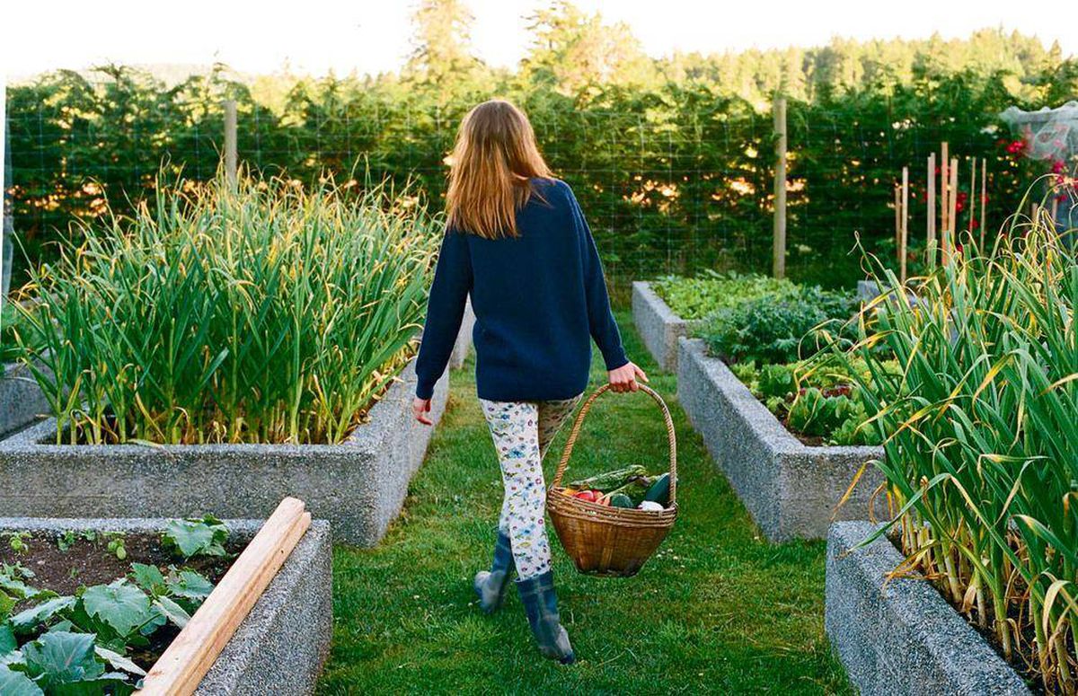 AdvanceOutdoorz's tweet photo. Check out our website for new backyard and garden essentials!

#backyard #backyardgoals #backyardoasis #backyarddesign #backyardessentials #garden #gardening #gardenessentials #gardenmusthaves https://t.co/w5KqHjuLqg