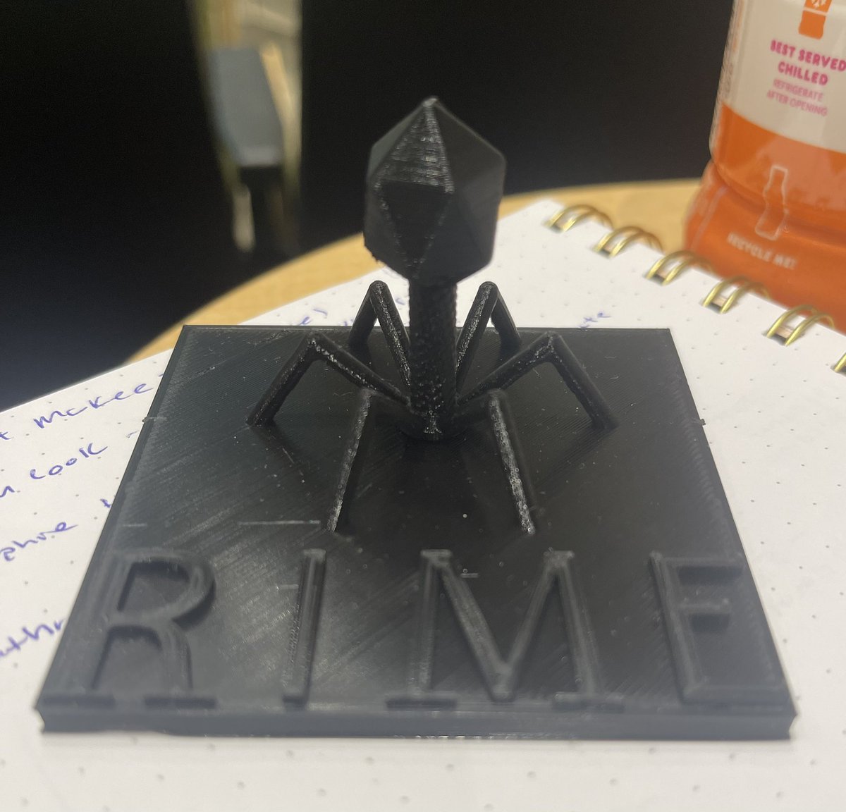 Made a phriend at phage camp today

#EvergreenPhage2023