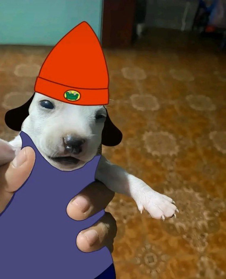 cake_hoarder's tweet photo. parappa if he was on PS5 https://t.co/Ti797RU1kQ
