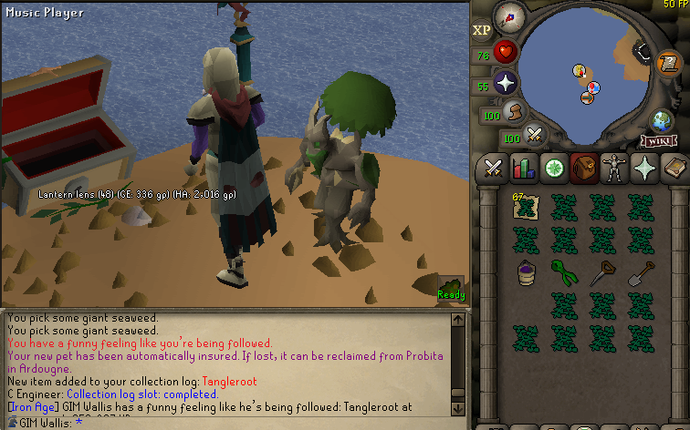 broseths's tweet image. Tangleroot 4.3m xp ON THE GROUP IRONMAN