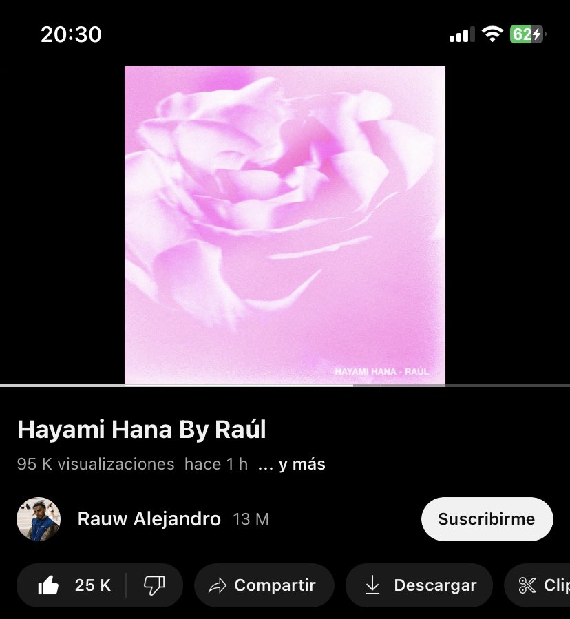 Rauw tas pasauw