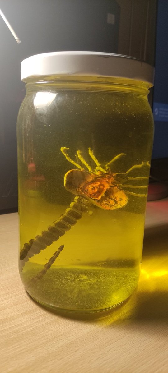 Adolfo Lozano-Tello tweet media