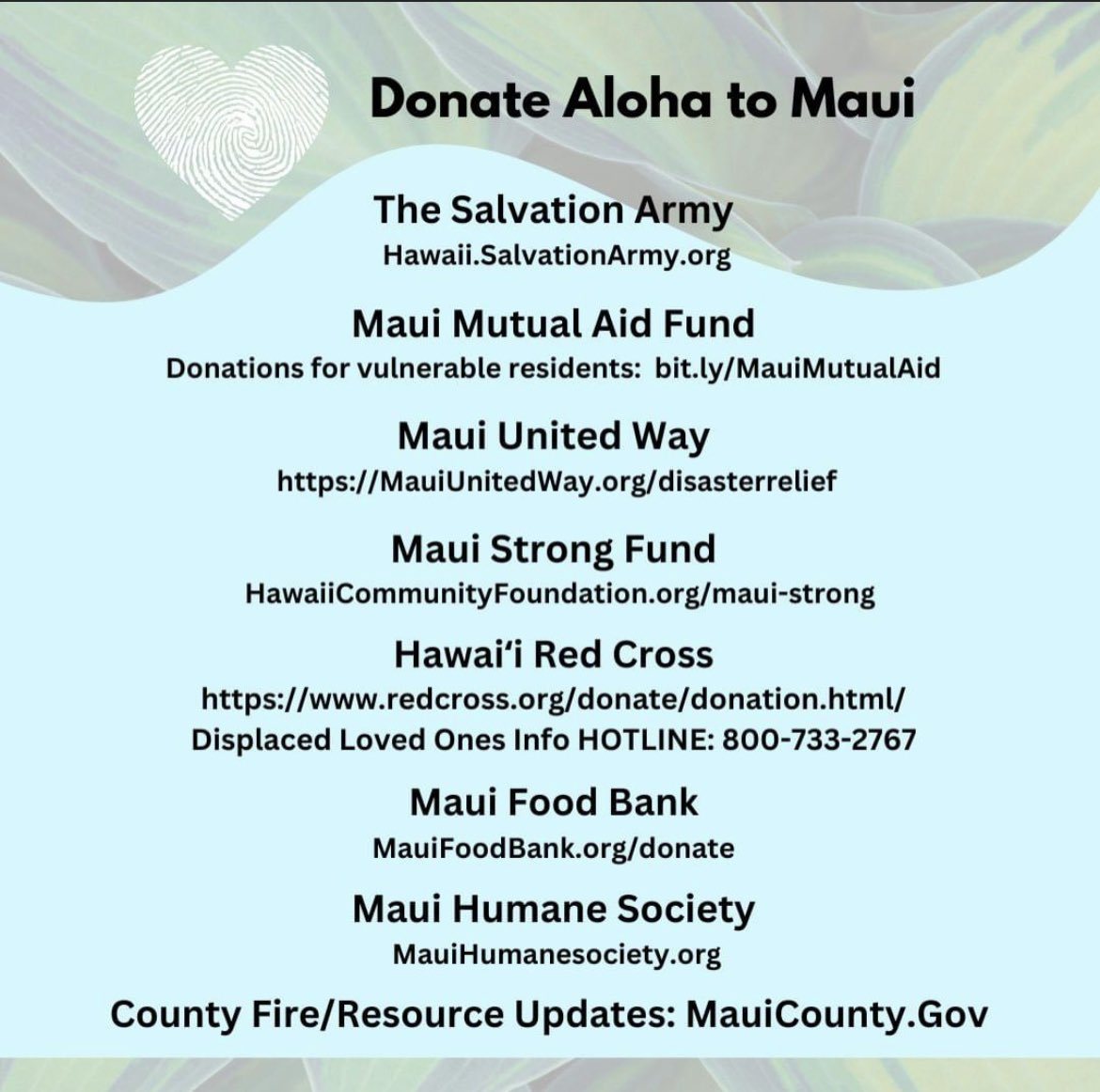 Time to show some true Aloha from the #9thISLAND and Las Vegas, Nevada for fire & wind battered #maui. Donation recommendations as of 8/10/23.
#hawaii #mauihawaii #mauifire #mauidonations #spreadaloha #lasvegas #LVCVA #lasvegasstrip #lasvegasfremontstreet #downtownlasvegas #pray