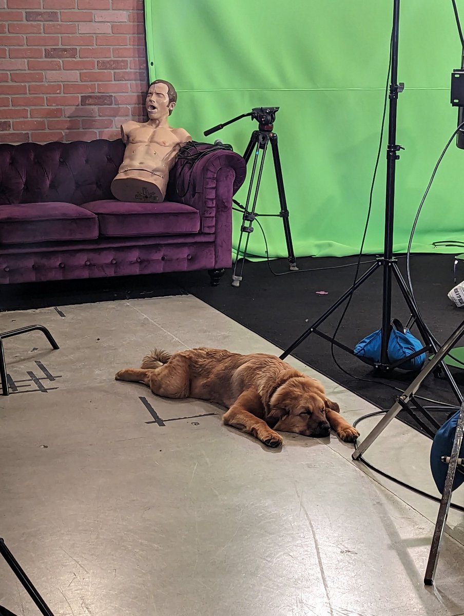 The H3 Show tweet media