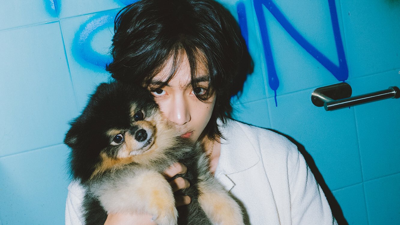 abi ☆☽ on X: "— #V adoptó a Yeontan a pesar de sus problemas de salud e  incluso consultó a un entrenador de perros porque quería ser un buen dueño  para el,