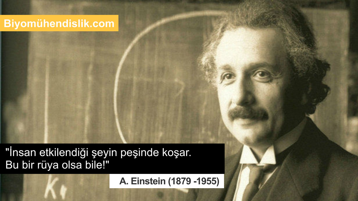 İnsan etkilendiği şeyin peşinde koşar. Bu bir rüya olsa bile!  

Albert Einstein