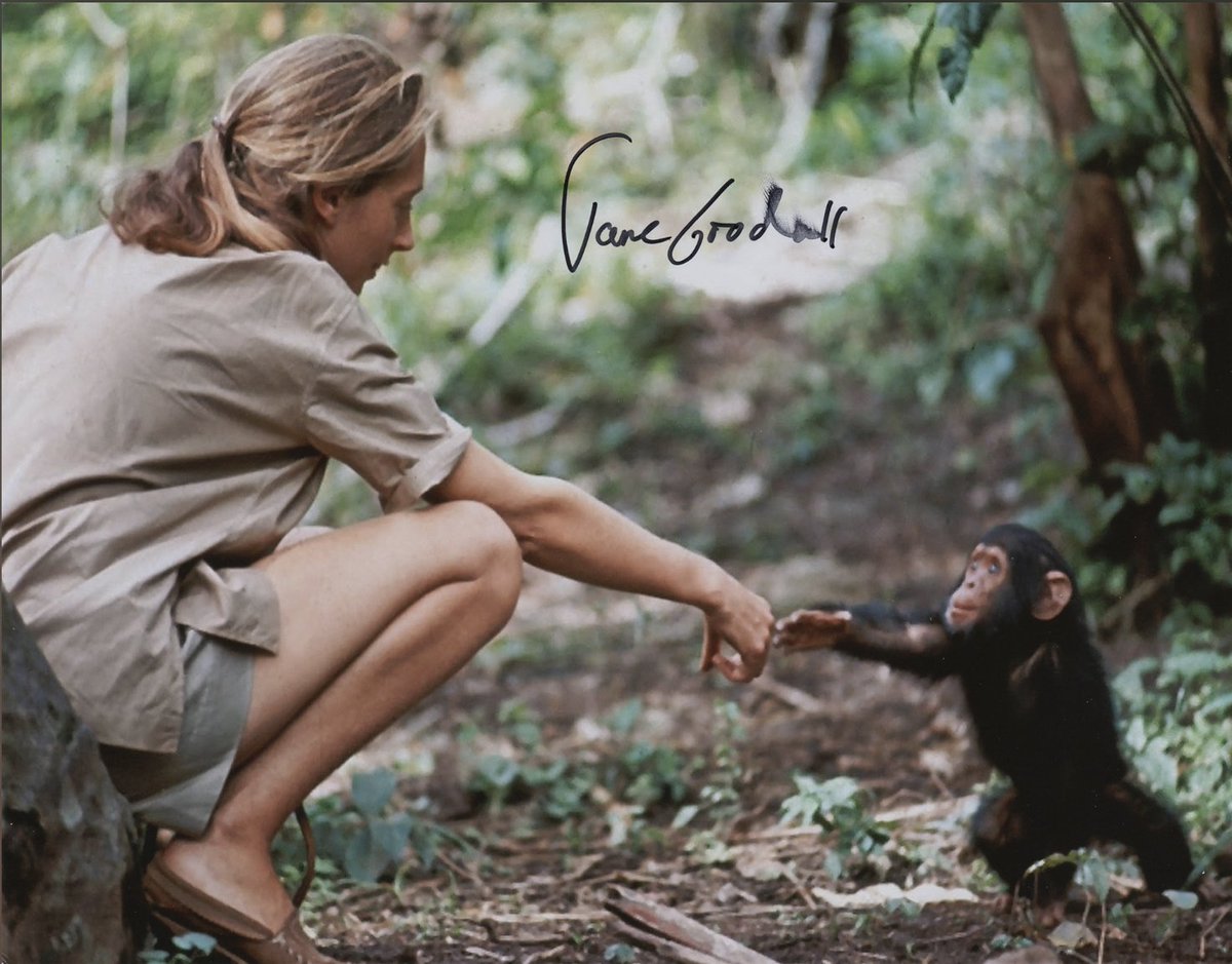 ArpitaBKulkarni's tweet photo. It was crazy beyond my dreams to get feat. on @JaneGoodallInst's #Hopecast as a Hopecaster in 2021, advocating inclusivity & compassionate action to protect our natural world. But life just got so much sweeter coz IM GOING TO GET TO SEE HER IN PERSON🥳on her US tour in Sept!🎟️🤯 https://t.co/5zBmSgOPDt