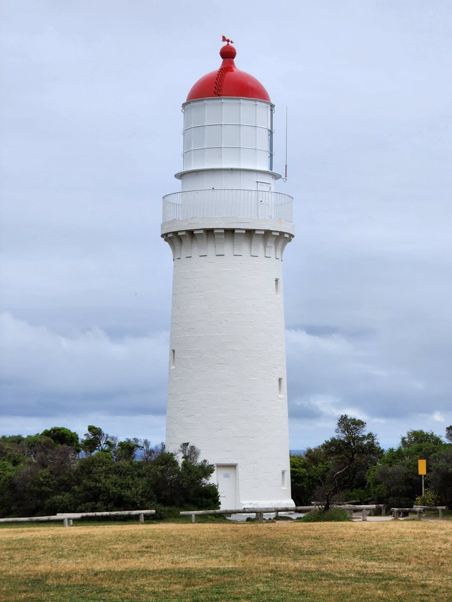 Elinor DeWire tweet media