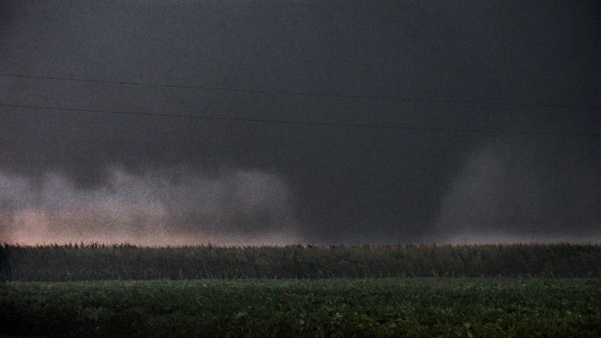 SkipTalbot's tweet image. A monster lurking in the corn. Shots from Sunday in Illinois: youtu.be/IWPkAIz-0Z4