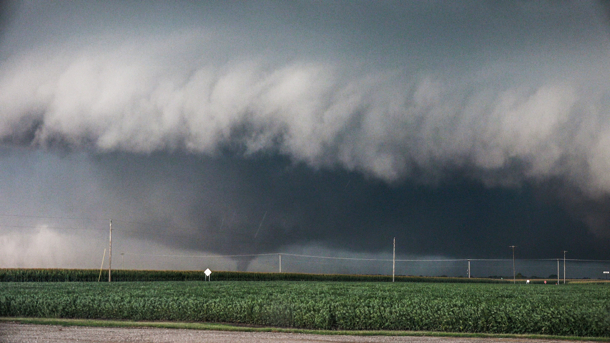 SkipTalbot's tweet image. A monster lurking in the corn. Shots from Sunday in Illinois: youtu.be/IWPkAIz-0Z4