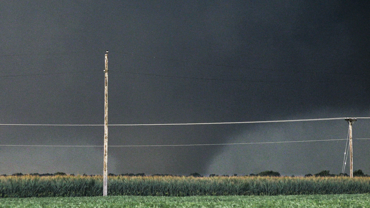 SkipTalbot's tweet image. A monster lurking in the corn. Shots from Sunday in Illinois: youtu.be/IWPkAIz-0Z4