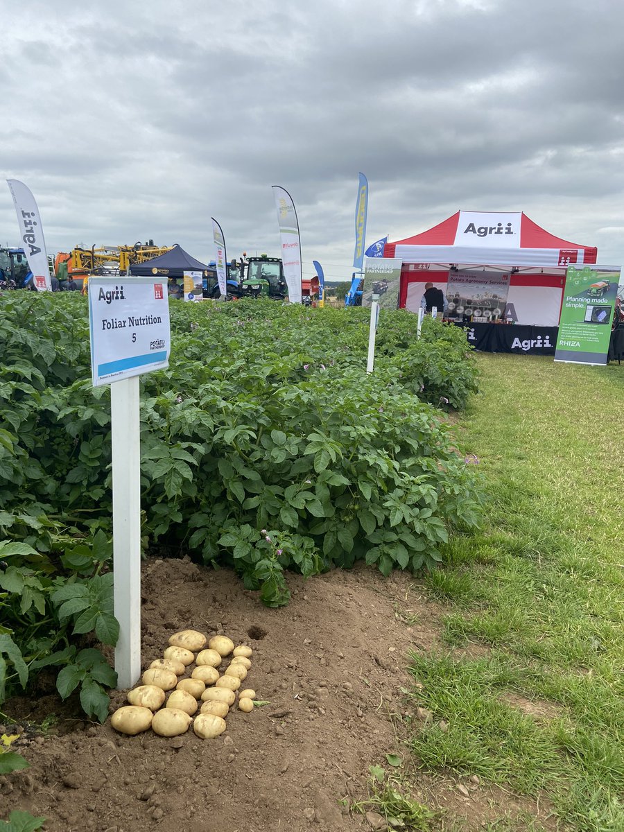 JAT1872's tweet photo. Great day at Potatoes in Practice 2023 ๐ฅ๐ @AgriiUK @JamesHuttonInst
#PiP23 #potatoesinpractice #agronomy #cropscience #tanks #drainage #RHIZA #farminguk https://t.co/mZeMJp5hyZ