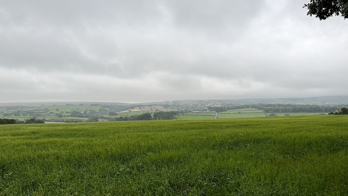 dylandavies34's tweet photo. Glaw yn dod mewn! Here comes the rain! @ThePhotoHour @ItsYourWales @S4Ctywydd @DerekTheWeather @ChrisPage90 @nationalwales
@Llelo2801 @AledHall @Rhiders @FfotoC #pencader https://t.co/XZKQEWzINO
