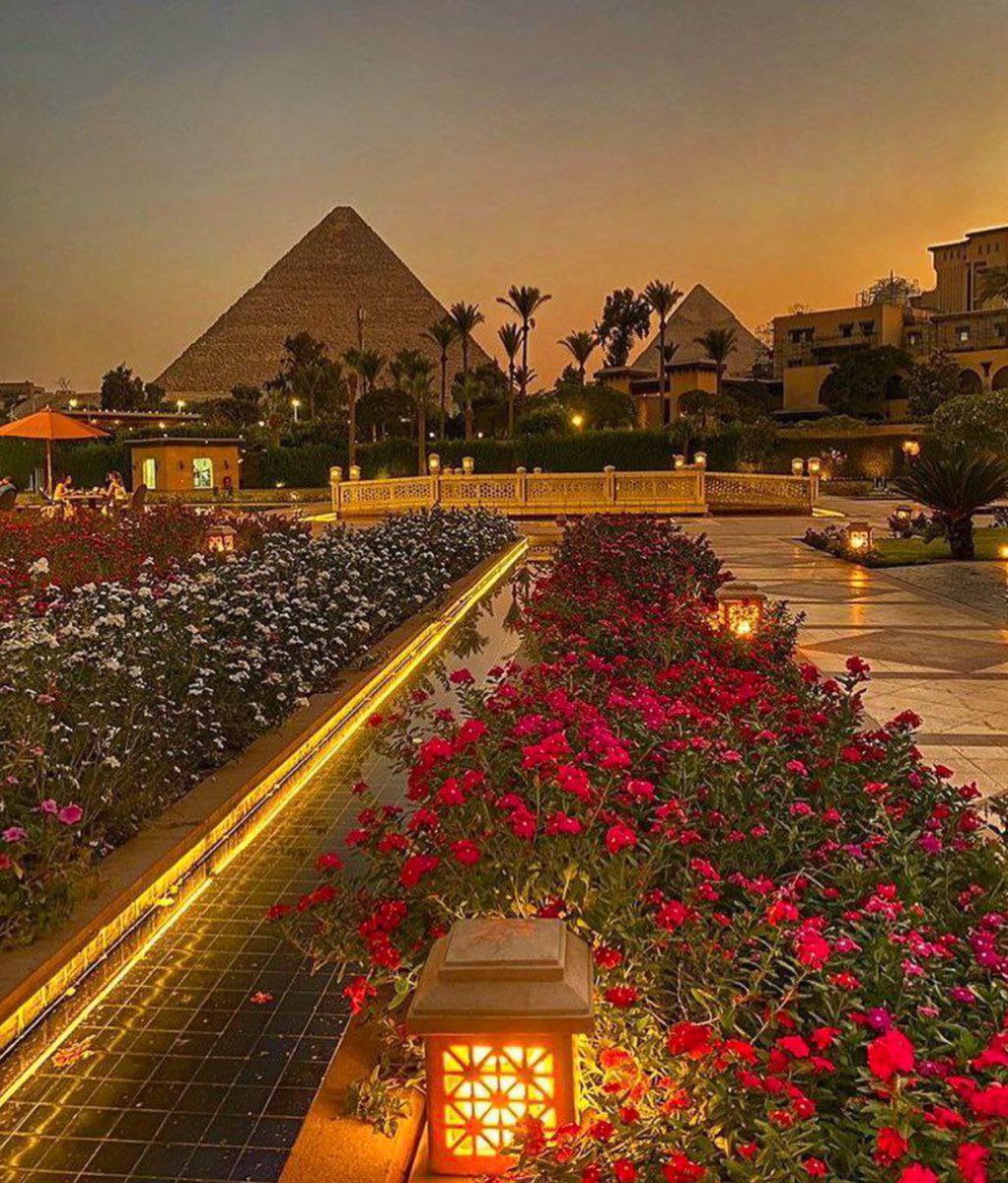 W0rld2026's tweet photo. Egypt https://t.co/8mdDDvnzLE