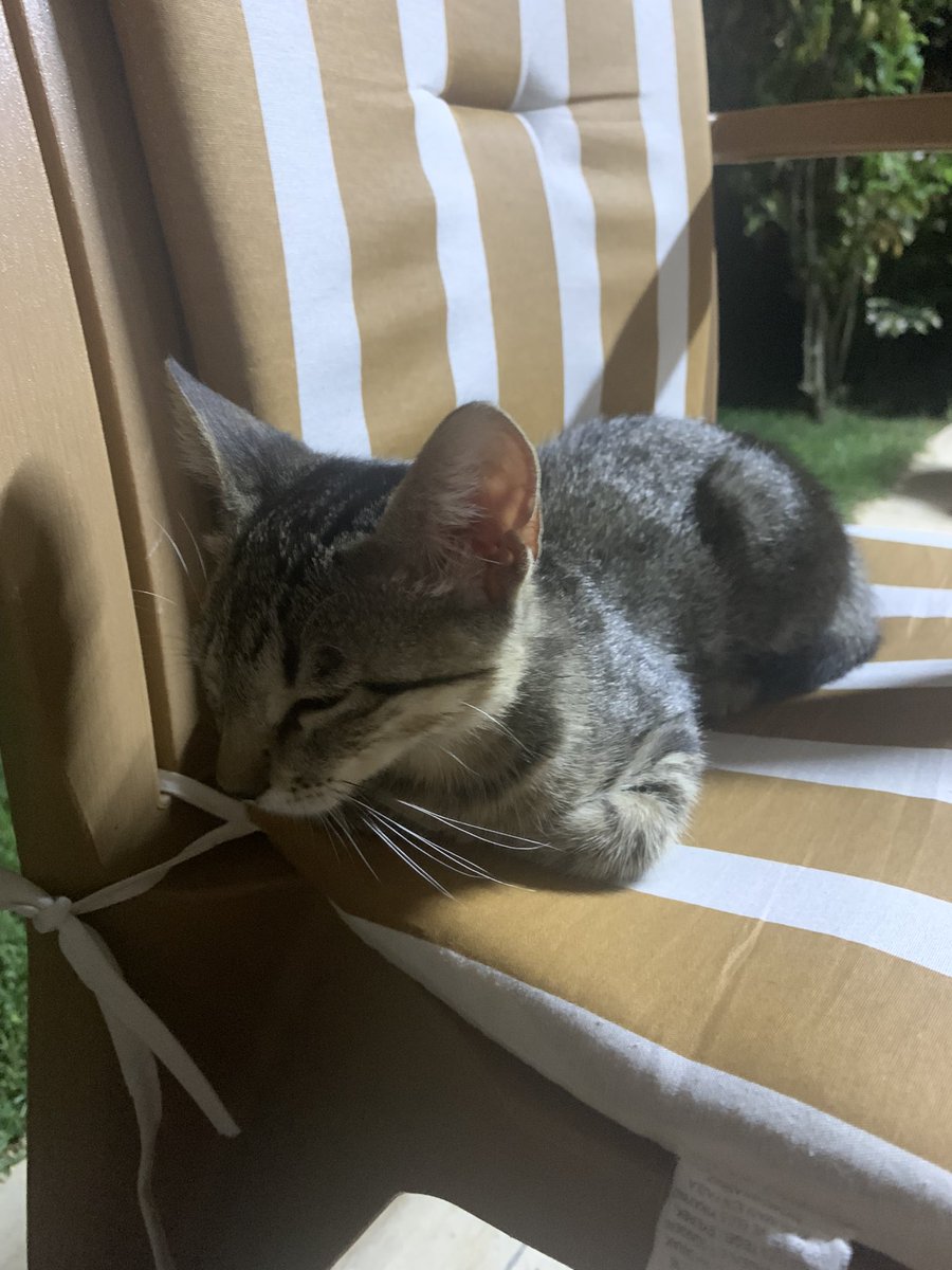 emma ψ 🦷 tweet media