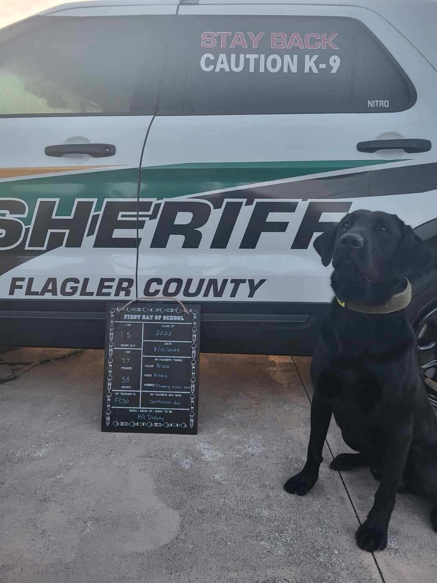 Our SRDs were getting tired of summer vacation anyways 😴

#FirstDayOfSchool