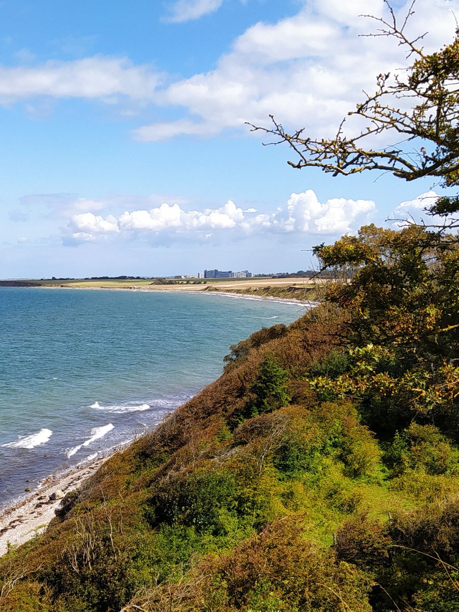 #JedeWocheEinFoto
KW 32/23
Life is Life