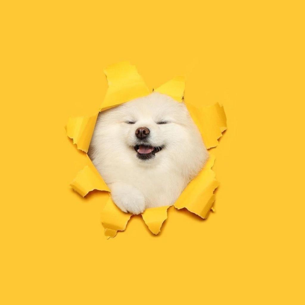 chua_thina's tweet photo. Felix20230811 https://t.co/W2WnAZVcwV