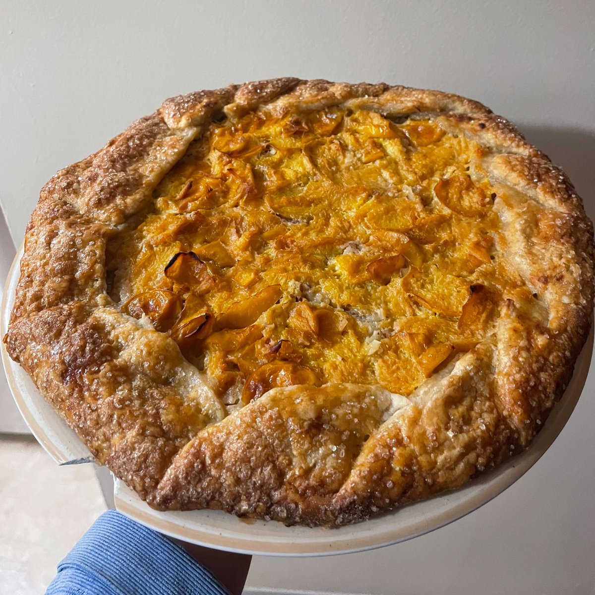 Midwinter Entertainment tweet media