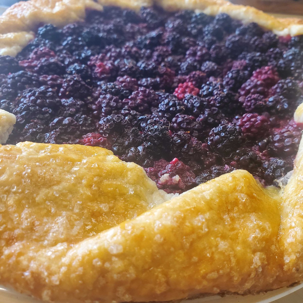 Midwinter Entertainment tweet media