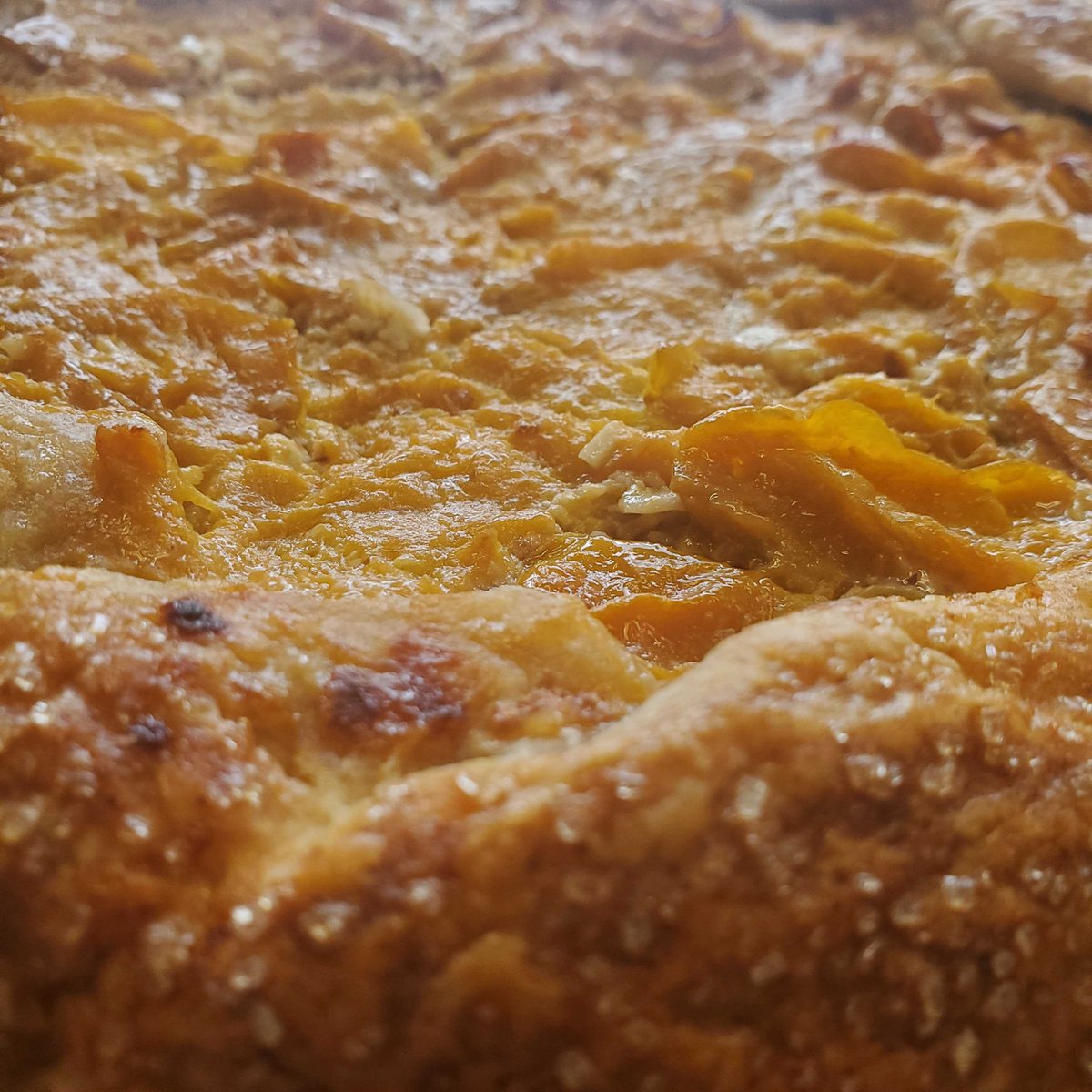 Midwinter Entertainment tweet media