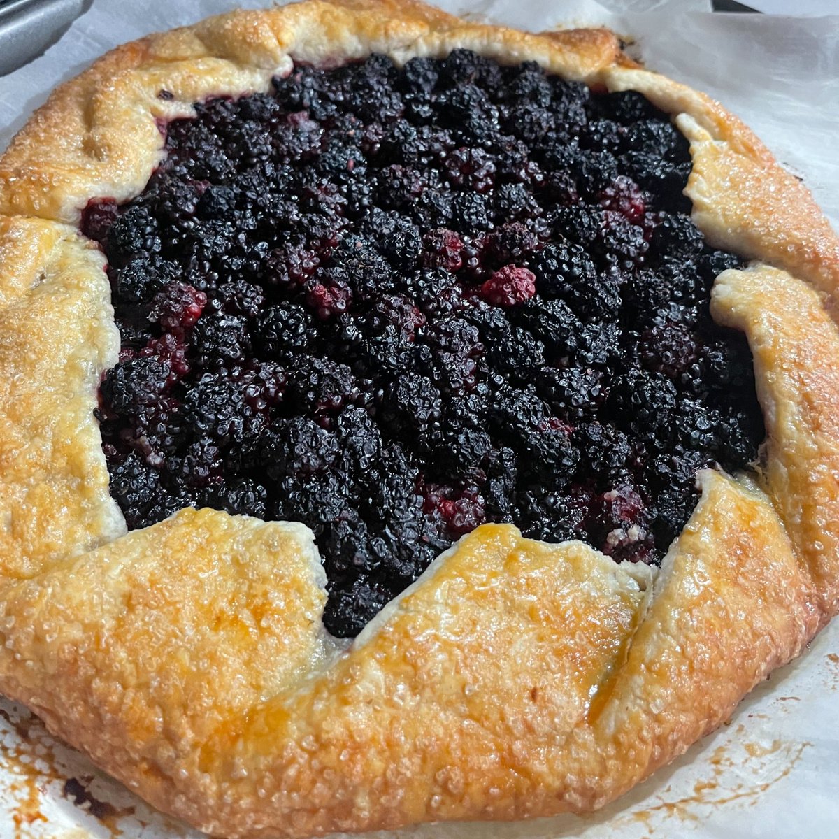 Midwinter Entertainment tweet media