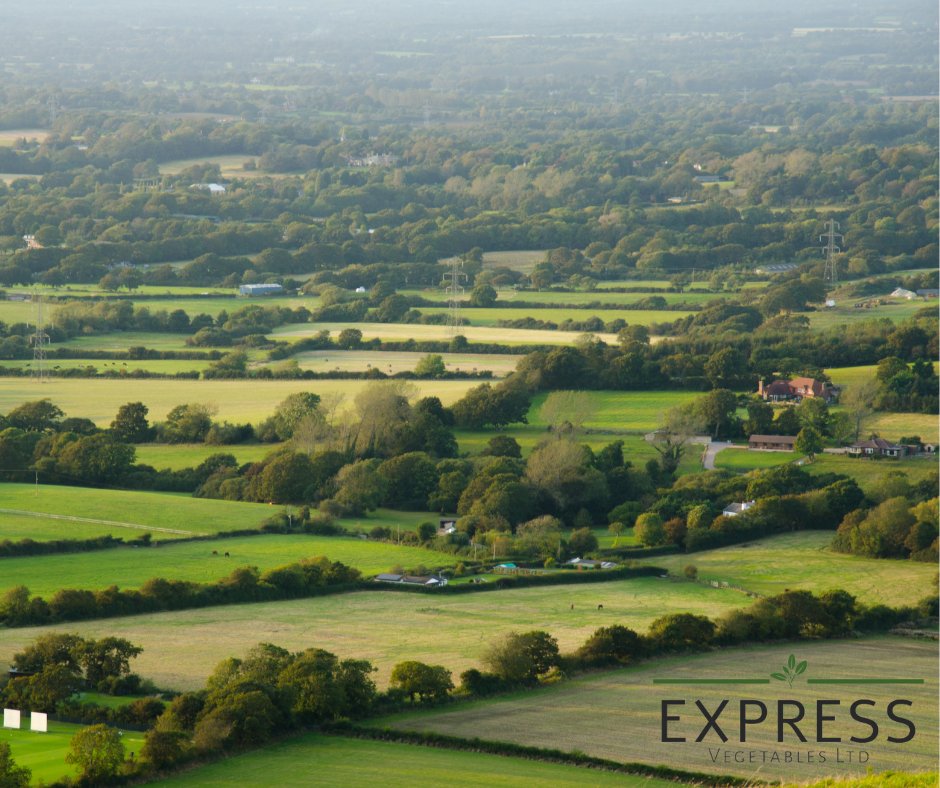 🌽🥦 Here at Express Vegetables, we're proud to source our veggies exclusively from local British farms. 
Choose local, taste the difference, and join us in nurturing the heart of British agriculture! 🚜🇬🇧 
#britishfarms #fieldtofork