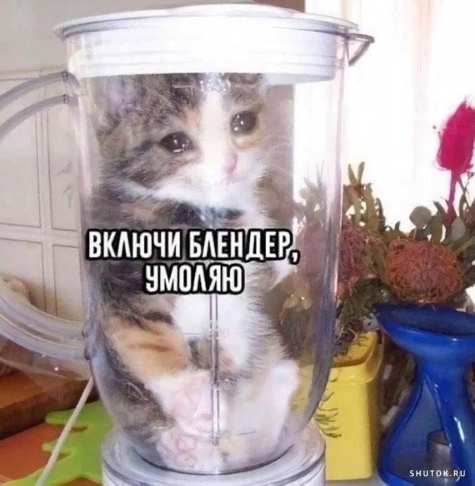 A_Nebrosky's tweet photo. @in__spb https://t.co/mhdR38pYwX