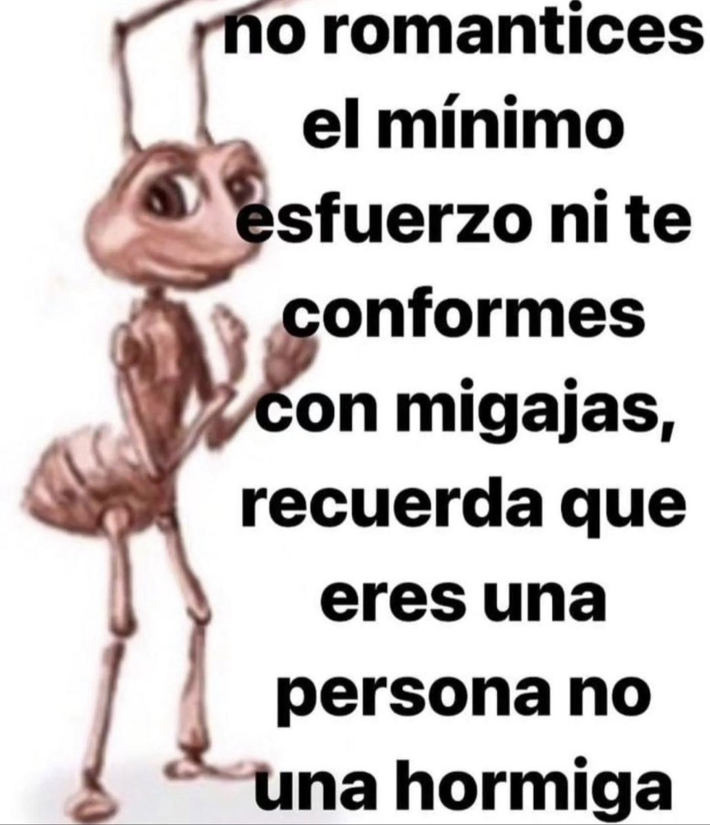 skereunpesado's tweet photo. https://t.co/ertKg4970j