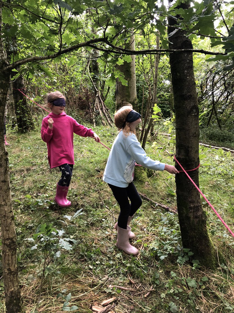 elementalforest's tweet photo. Wow! What an amazing set of HAF summer camps w/ @RLTrust Forest, Food, Fun &amp; Friendships https://t.co/nnWnQiRCd2