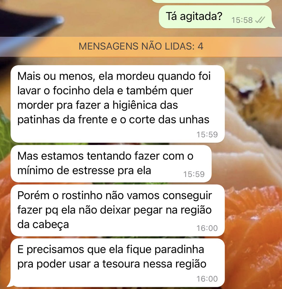 dirmantelada's tweet photo. Luna no pet shop:

Por isso eu acabei começando a dar banho e tentar tosar em casa.. pq é uma agonia levar ela em pet 🥹🫠🤡 https://t.co/omHAMkJyP2
