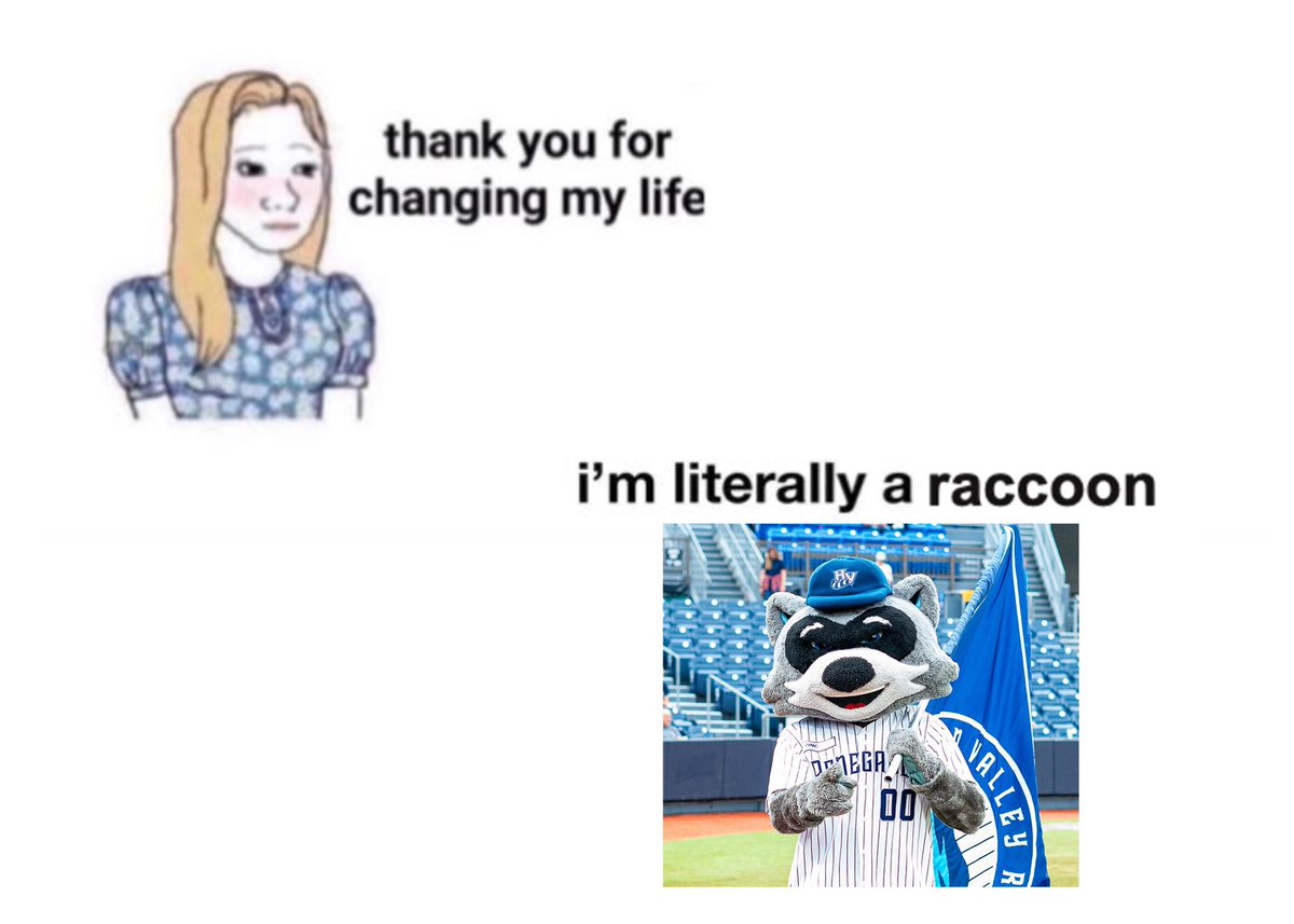 Rascal Renegade 🦝 (@rascalandrosie) on Twitter photo 