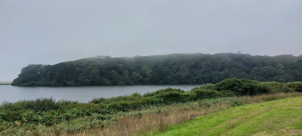 BevHunt72's tweet photo. Completed #Walk29 of my 55 walk challenge today in aid of #OneMedicine @HumanimalTrust in just over 4 hours..it took 15,843 steps and was 6.8 miles. Walk was lovely, but the weather disappointing.. #Walk30 to follow soon...๐https://t.co/Qfp9d2j80g https://t.co/622I6iWchP