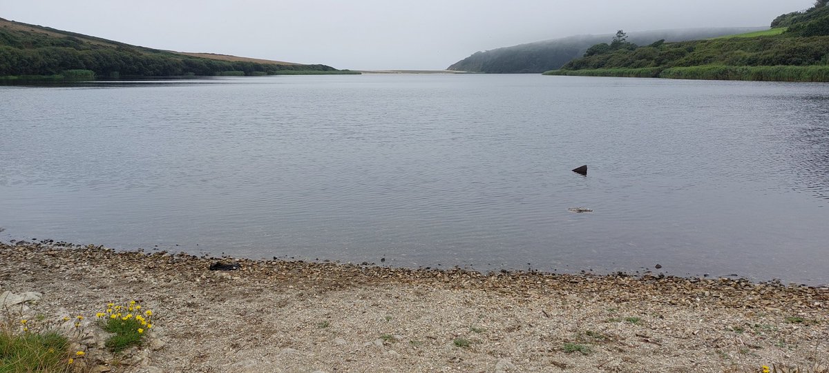 BevHunt72's tweet photo. Completed #Walk29 of my 55 walk challenge today in aid of #OneMedicine @HumanimalTrust in just over 4 hours..it took 15,843 steps and was 6.8 miles. Walk was lovely, but the weather disappointing.. #Walk30 to follow soon...๐https://t.co/Qfp9d2j80g https://t.co/622I6iWchP