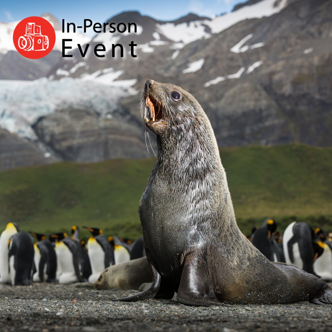 Join us & local wildlife photog Kyle Marquardt (@kylefoto) on Aug 19 at @calgaryzoo for a photowalk, @SonyAlpha demo & for Capturing the Wild Photo Seminar: An Exploration of Authentic Wildlife Photography! Grab a ticket before they're gone! → thecamerastore.com/products/captu…