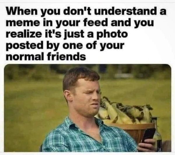 when the cat you see isn't hilarious