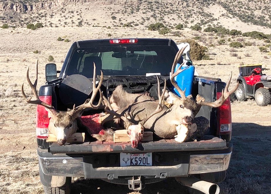 Trips4Trade tweet media