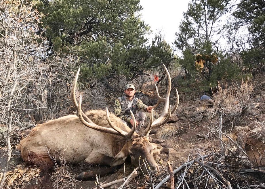 Trips4Trade tweet media