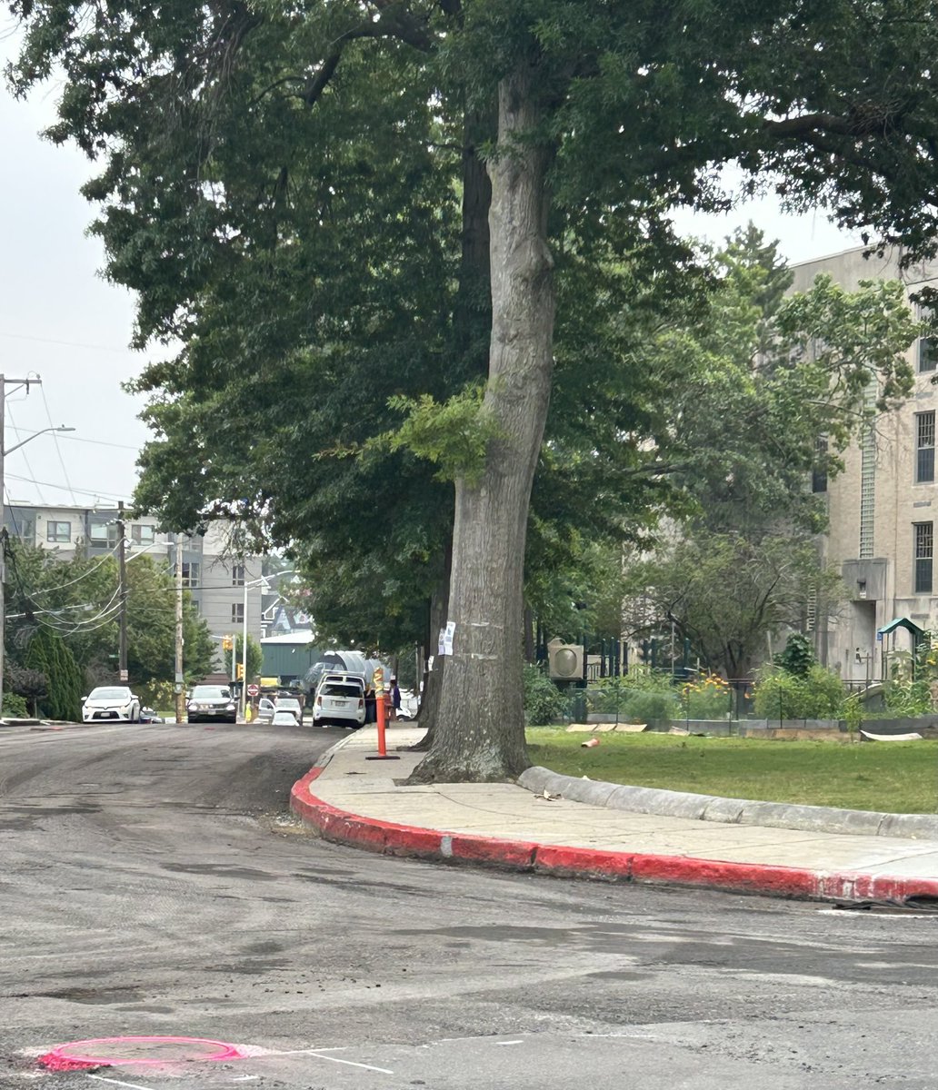 Not only are we ready to pave Holden Street but we’re also ready to run a dedicated water line for the students overseeing the Malden Youth Community Garden!