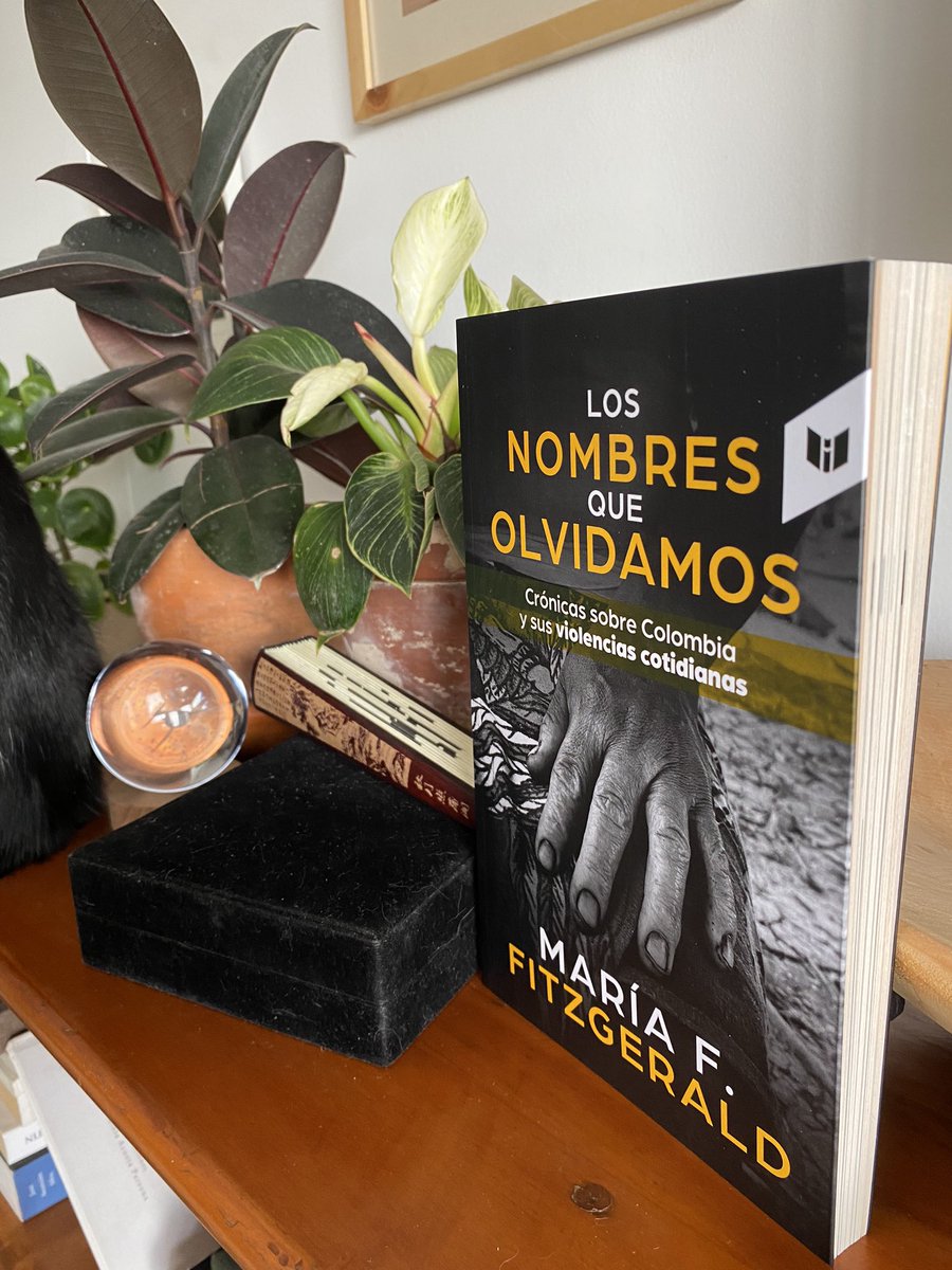 María F. Fitzgerald 🐚 tweet media