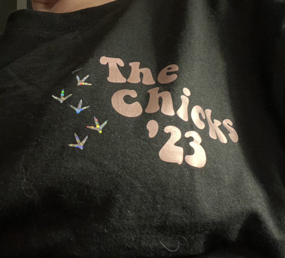 jamimom's tweet photo. @thechicks I’m ready! #HersheyPa https://t.co/C5BZXW7Ijr
