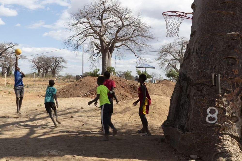 DIGNITY49621213's tweet photo. A poca distanza (si vede sullo sfondo) c'è il baobab n.9, quello del vivaio delle piante, dal quale è iniziato il progetto agricolo.
Ogni baobab (=embondeiro) un progetto!
@allyhoop_4matambo
#matambo #aldeiadignity #mozambique #allyhoop_4matambo #baobab #basket https://t.co/j9Xk1rgvLK