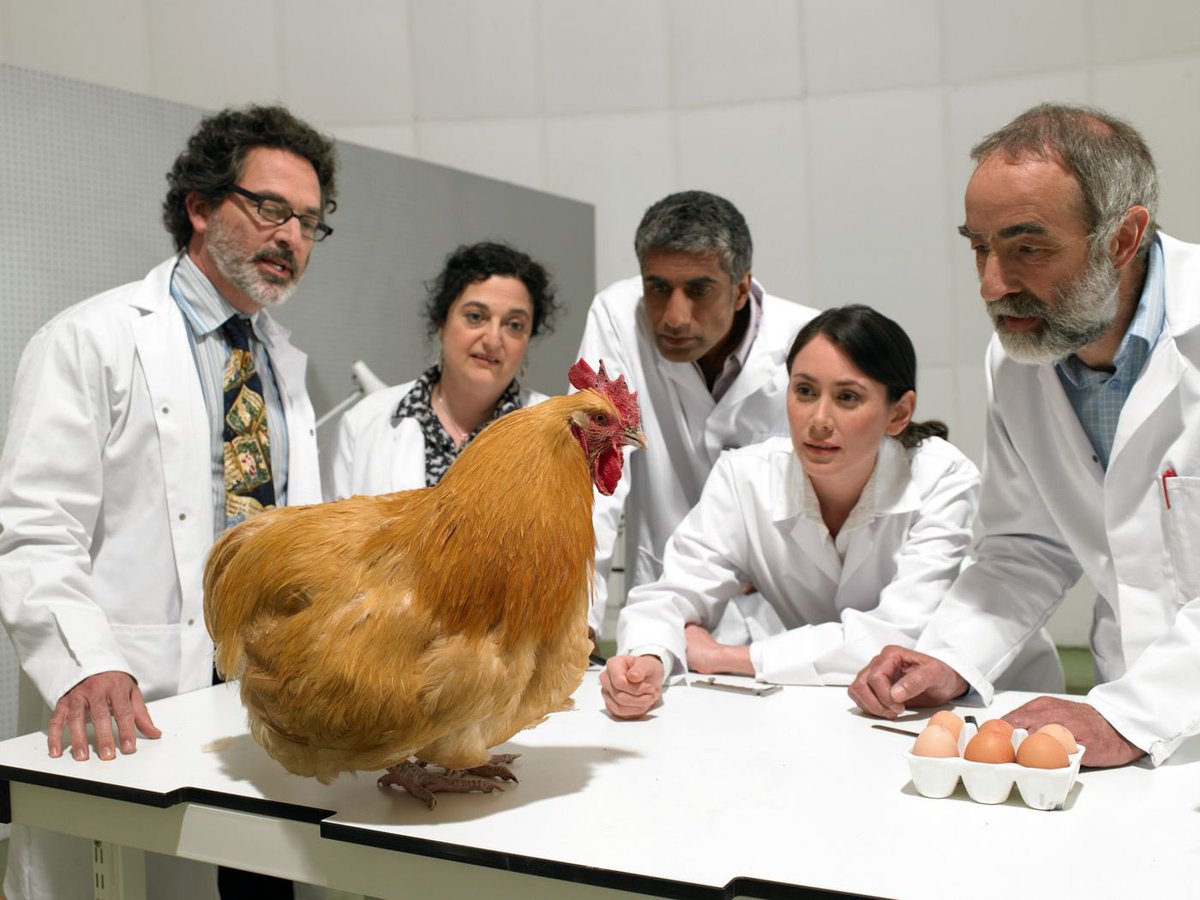 darkweb5g's tweet image. Dark Web 5G’s top scientists trying to prove the existence of boobs.