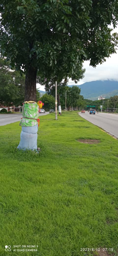 LimonActivo's tweet photo. Ya están decorando Av universidad #Mbi https://t.co/TBKgOeWXZ5