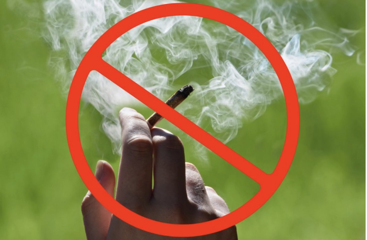 Texas, oh Texas! Land of big hats, big egos, and apparently, small freedoms. You can ride a bull, but can't roll a joint? It's time to unshackle those minds, because the only thing that should be criminal is this level of backwardness. 🤠🔥🌿 <a href="/rachelle_g420/">Rachelle Gordon</a> #LoneStarLunacy