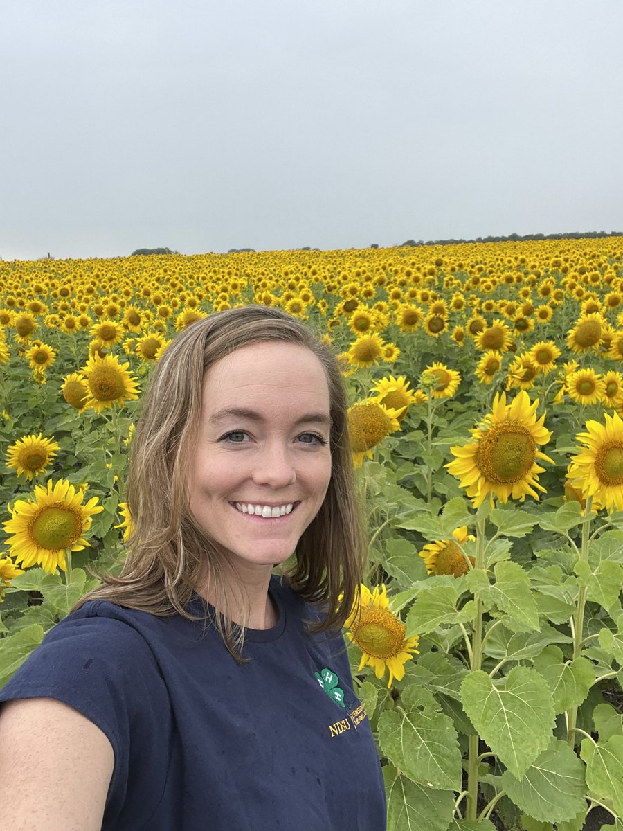 KateLandeis's tweet image. Getting ahead of the crowd and taking my #sunflowerselfie in before the #rootconnections event tonight! Getting excited! @ndrockfarmer @ThomasGranger17 @bmreadel @SoilForks @NDCornGrowers