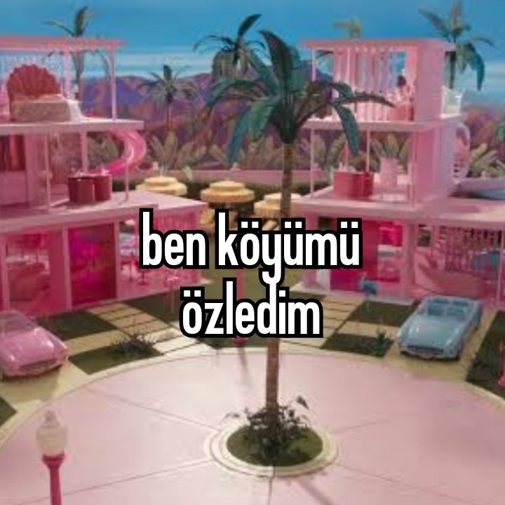yurcel tweet media