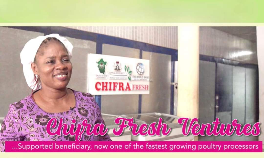 APPEALS Project tweet media