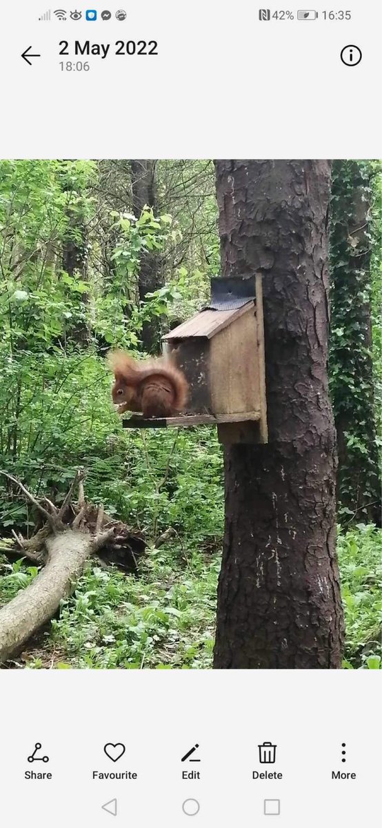 ACHUB PENRHOS / SAVE PENRHOS NATURE RESERVE 🍃💚🍃 tweet media